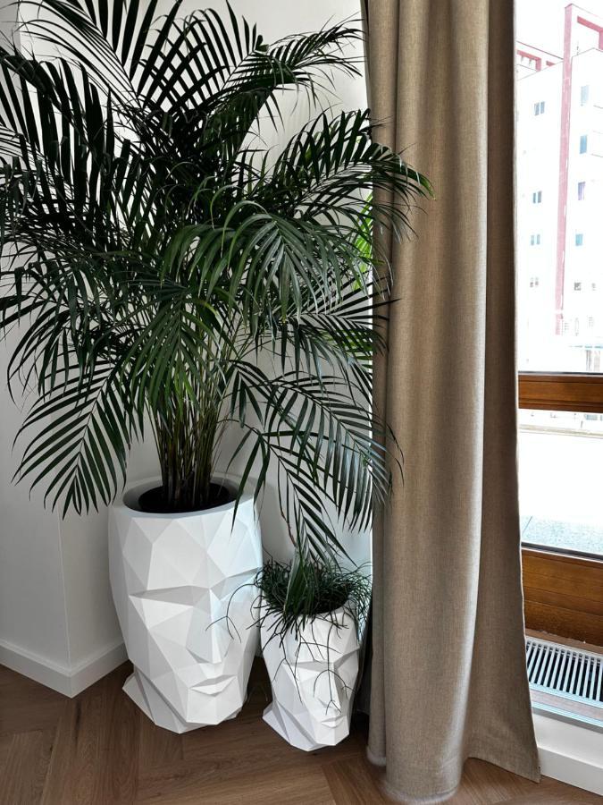 Apartmán Luxury Penthouse At The Historical Centre With Free Parking Bratislava Exteriér fotografie