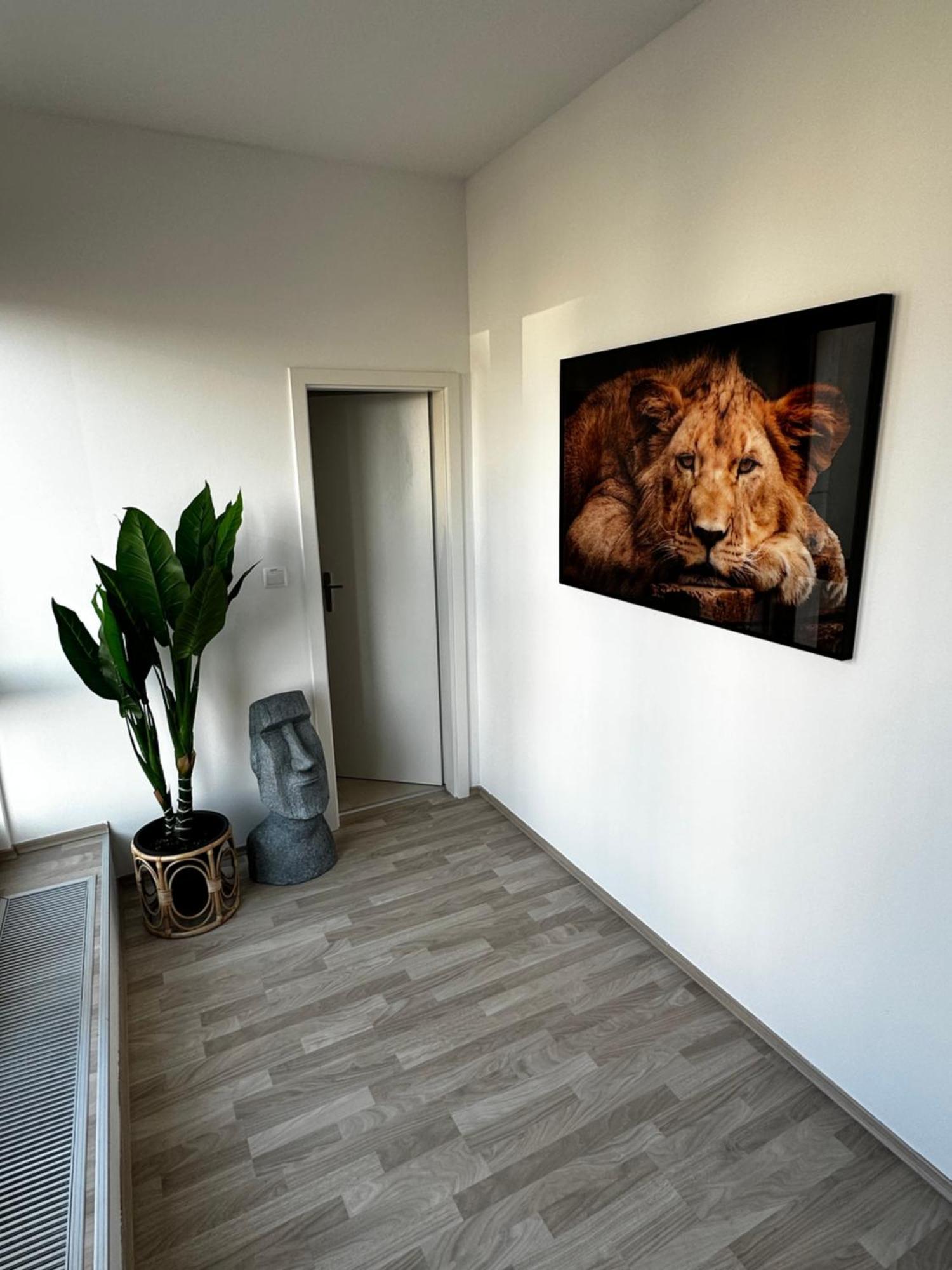 Apartmán Luxury Penthouse At The Historical Centre With Free Parking Bratislava Exteriér fotografie